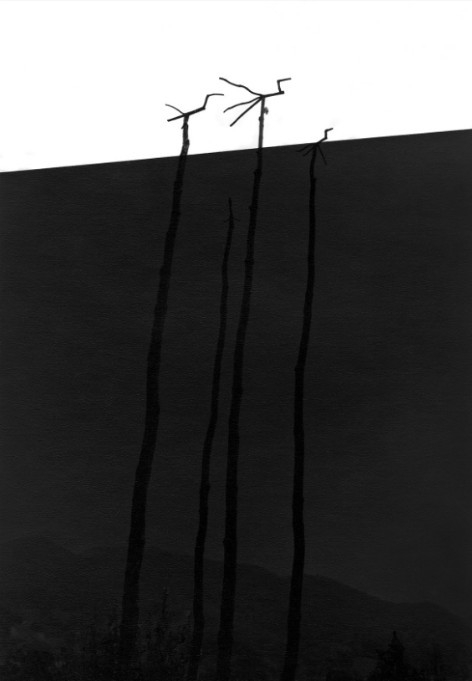 20220906144604_1204.jpg